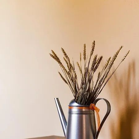 Agriturismo Casale San Lorenzo San Lorenzo in Campo