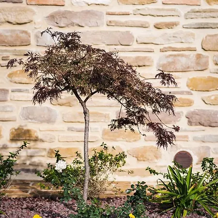 Agriturismo Casale San Lorenzo * San Lorenzo in Campo